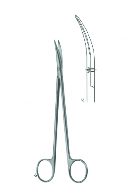 Dissecting Scissors